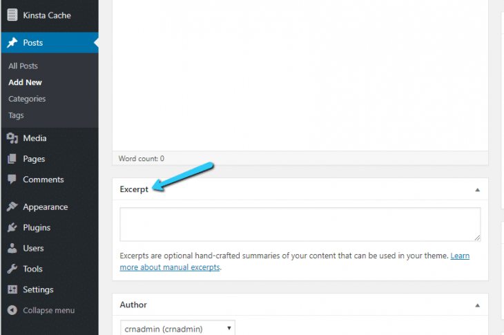Wordpress excerpt